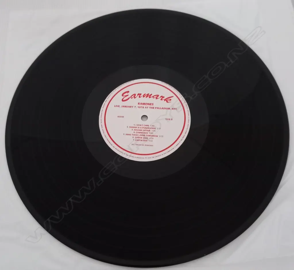 Ramones, Live, January 7, 1978 At The Palladium, NYC (Double album) Image 1++